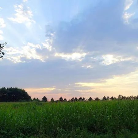 Lovely In The Middle Of Nature *